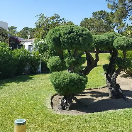 Victory Village Club, Quinta Do